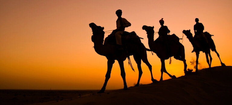 Camel_ride